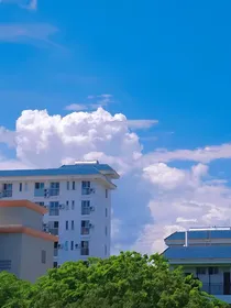 逆袭吧，黑马