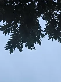 死亡之尽