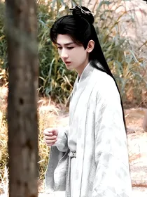 综影视：我是清风
