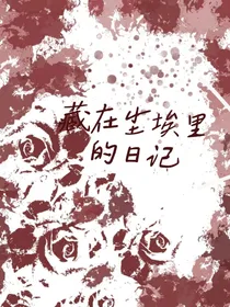 藏在尘埃里的日记