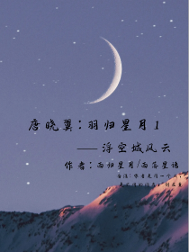 唐晓翼：羽归星月1——浮空城风云