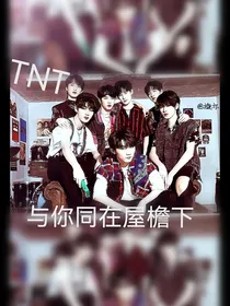 TNT：系统爱吃馒头