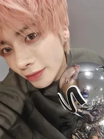 TXT：蝴蝶骨骼