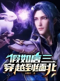 假如唐三穿越到缅北