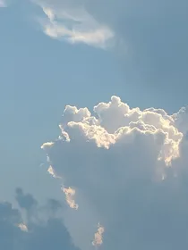 犯罪观察日记