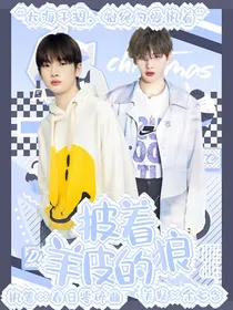 R1SE：披着羊皮的狼