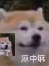 信vs白：榜一大哥求发电