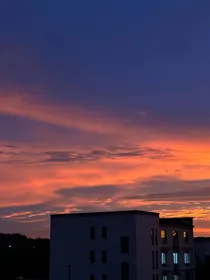 来到，立海大
