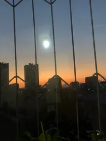 逆谋之皇