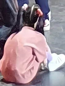 玫瑰心动札记