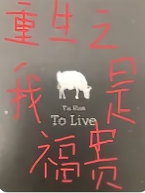 重生之我是福贵