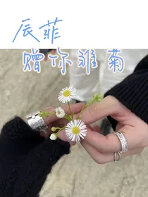 辰菲：赠你雏菊