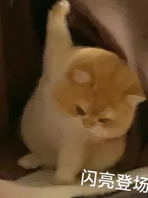 柿子的日记本