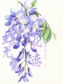 蝶无需花恋