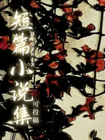 短篇小说集（可投稿）