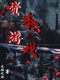 资本游戏