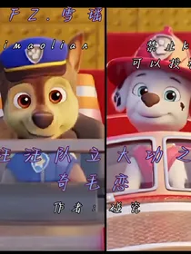 汪汪队之奇毛