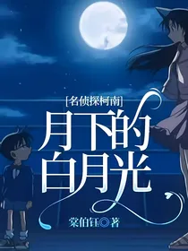 名侦探柯南：月下的白月光