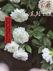 茶蘼花酒店