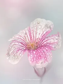 穿梭时空的旅途，探索未知的神秘