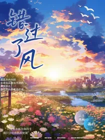 错过了风