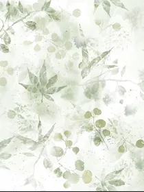 小风的学院生活