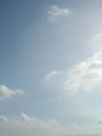 综影视之随遇而安的生活