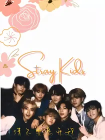straykids清不要离开我