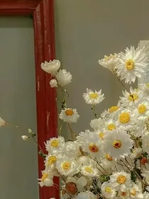 他的光，消散了