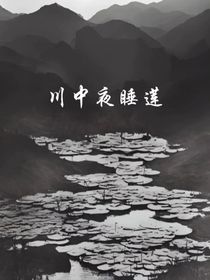 川中夜睡莲