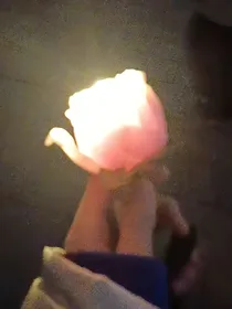 all邓：镜中玫瑰