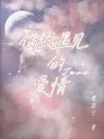 偶然遇见的爱情