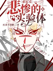 索尼克：悲惨的实验体