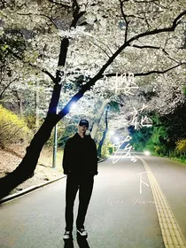 文俊辉：樱花落下