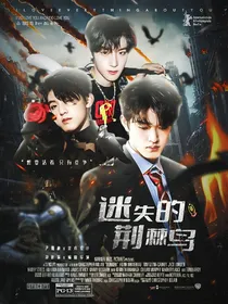 TF三代：迷失的荆棘鸟