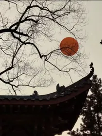 重生之拿捏反派