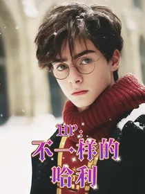 HP：不一样的哈利