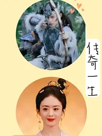 传奇一生，保家卫国