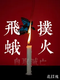 TF三代：飞蛾扑火