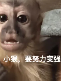 双男（女）主短文合集
