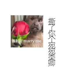 王俊凯：我可是爽文女主角