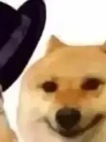 TF三代：创死所有人