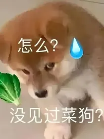 后宫大事件