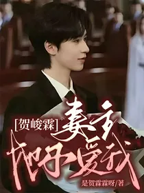 贺峻霖：妻主她不爱我