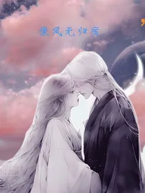 像风无归宿