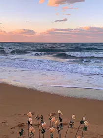 大海，我来了