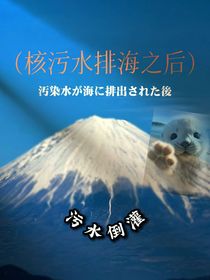 日本核污水排海之后-d088