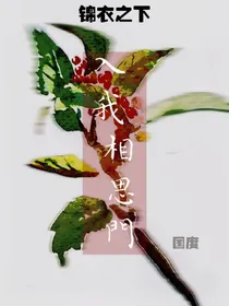 锦衣之下：入我相思门