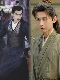 综影视：莲花无谢