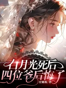 白月光死后，四位爷后悔了